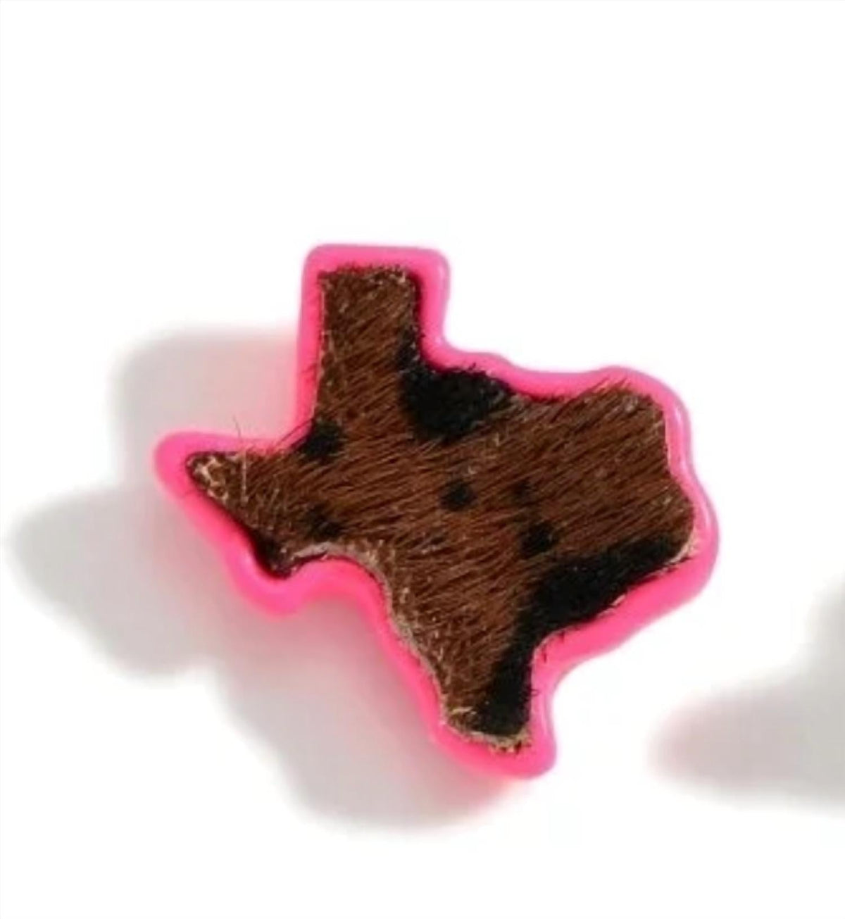 Women's Texas & Cactus Stud Earring Set In Hot Pink & Turquoise