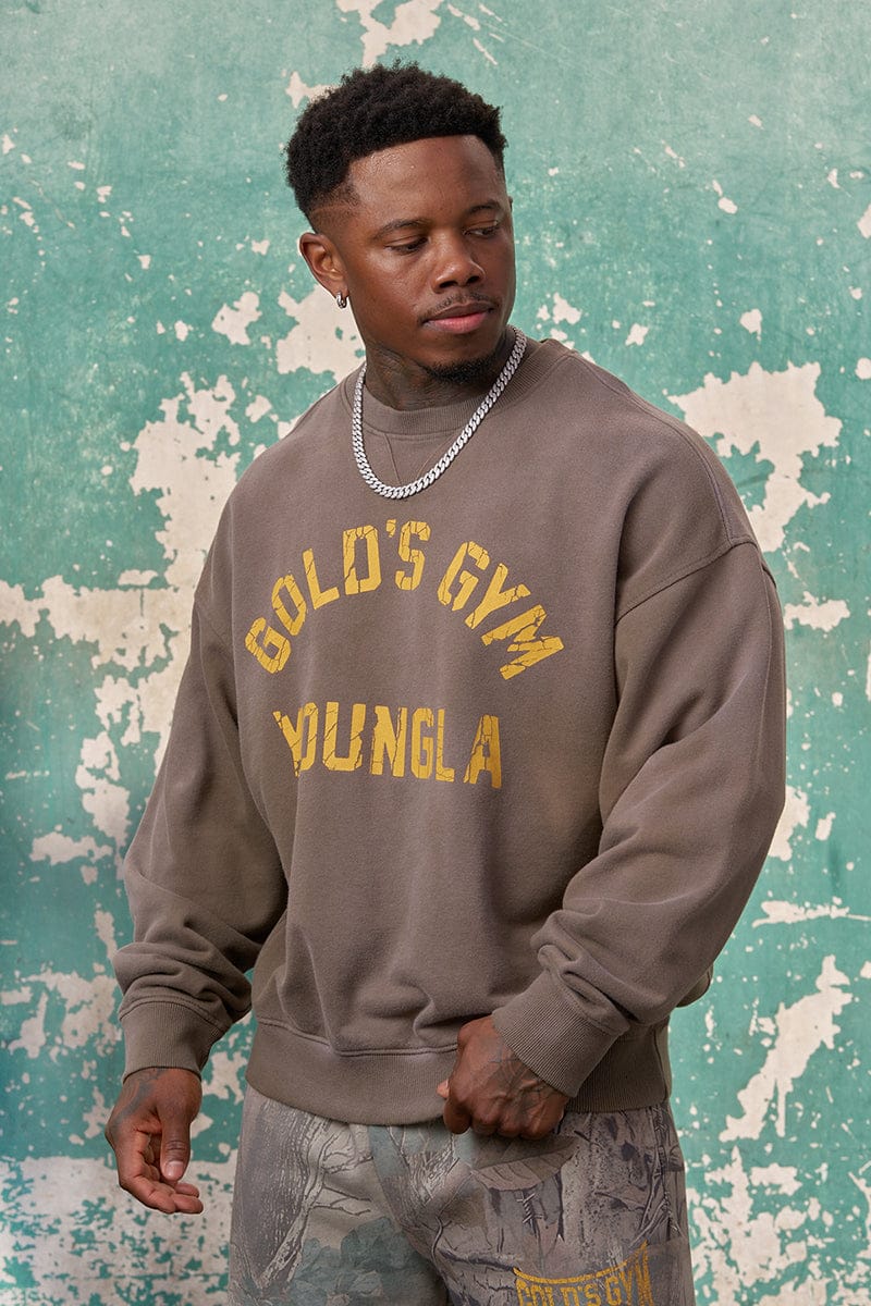 5166 - Gold's Iron Legacy Vintage Crewnecks