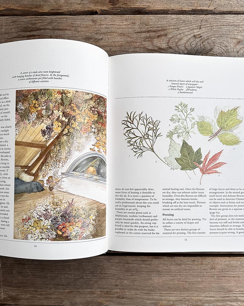 The Dried Flower Book